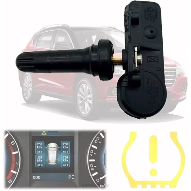 TPMS Voiture 6H201692 - tpms haval/gwm le capteur de pression 3641100xku00a 433mhz